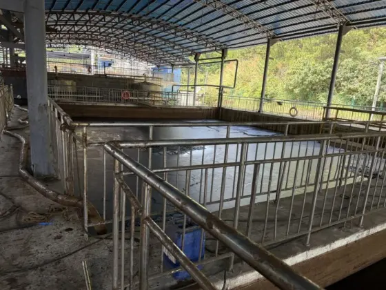 Process tank area